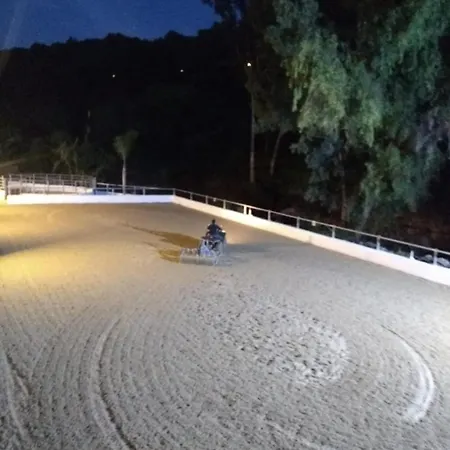 Riyadh House Apartamento